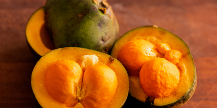 O fruto com espinhos é perigoso? Saiba os mitos e verdades do pequi