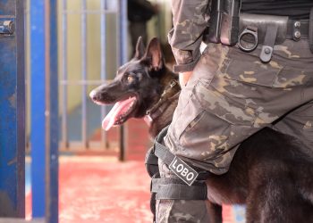 OPERAÇÃO MUTE 7 Roraima segue sem ilícitos encontrados no Sistema Prisional