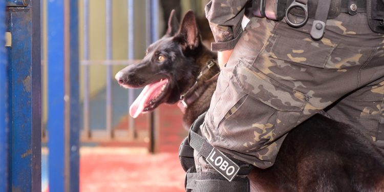 OPERAÇÃO MUTE 7 Roraima segue sem ilícitos encontrados no Sistema Prisional