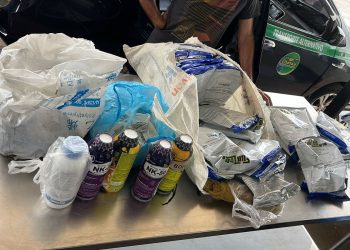 PRODUTOS PROIBIDOS Agrotóxicos e mudas de banana são percebidos na zona de proteção de Pacaraima