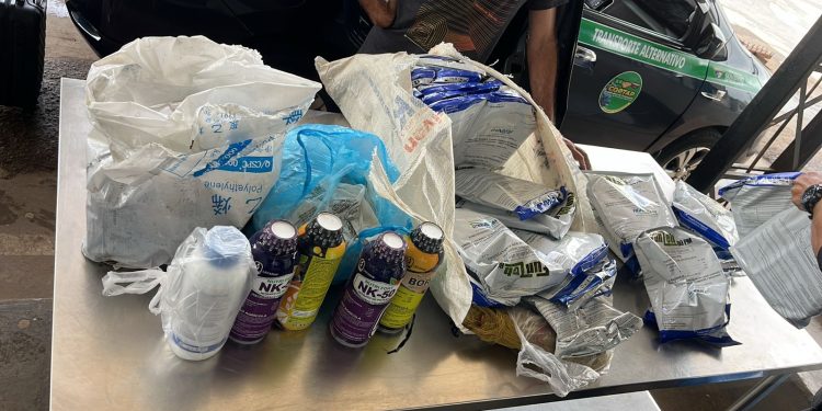 PRODUTOS PROIBIDOS Agrotóxicos e mudas de banana são percebidos na zona de proteção de Pacaraima