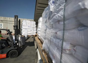Dezenas de camiões com ajuda cruzam fronteira egípcia rumo a Gaza