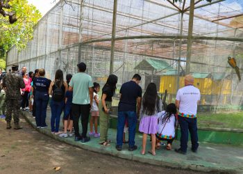 PROJETO TURISTEA  Crianças do Teamarr visitam mini zoológico do 7º BIS   