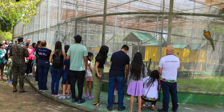 PROJETO TURISTEA  Crianças do Teamarr visitam mini zoológico do 7º BIS   