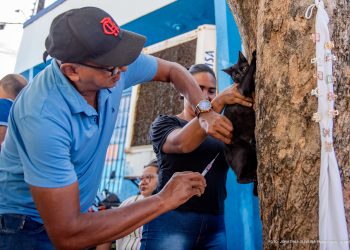 CAMPANHA ANTIRRÁBICA  Prefeitura imuniza mais de 20 mil animais contra raiva em Boa Vista
