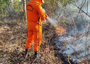PROCESSO SELETIVO  Governo de Roraima abre 150 vagas para brigadistas temporários