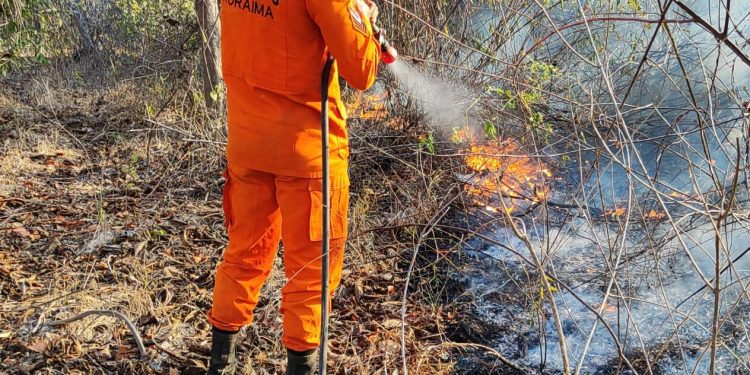 PROCESSO SELETIVO  Governo de Roraima abre 150 vagas para brigadistas temporários
