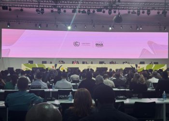 PROTEÇÃO AO MEIO AMBIENTE  Governador Antonio Denarium lidera comitiva roraimense na abertura da COP30 em Belém