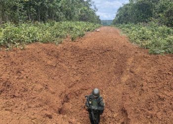 Comando Conjunto Catrimani II interdita pistas clandestinas de pouso na Terra Indígena Yanomami