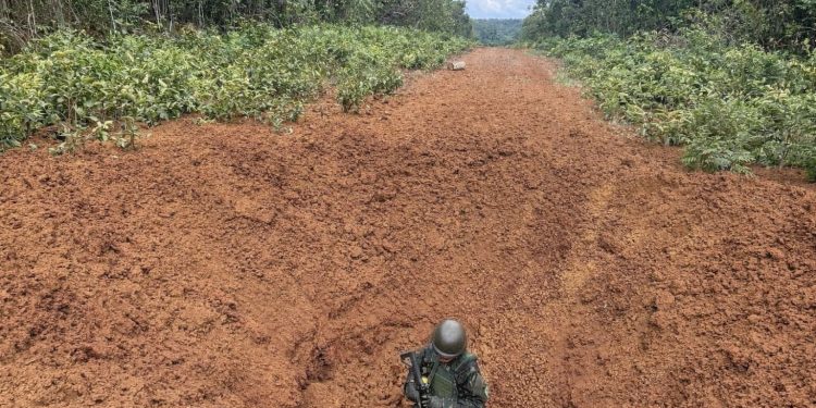Comando Conjunto Catrimani II interdita pistas clandestinas de pouso na Terra Indígena Yanomami