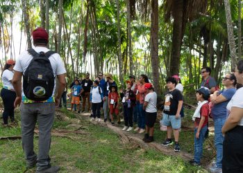 DESTAQUE NACIONAL  Teamarr transforma vidas e se consolida como referência no cuidado a pessoas com TEA
