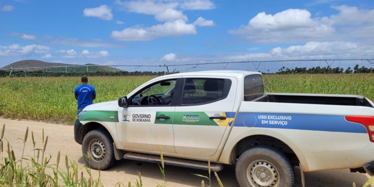DEFESA VEGETAL  Vazio sanitário da soja está em vigor em Roraima até 18 de março