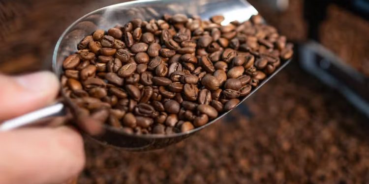 Café robusta segue operando com estabilidade em Londres nesta tarde de 2ª feira
