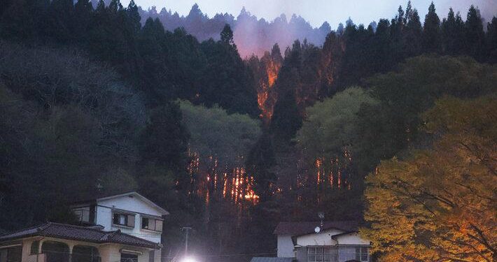 Japão: incêndio florestal se alastra e desaloja mais de 2,5 mil pessoas no norte do país; veja vídeo
