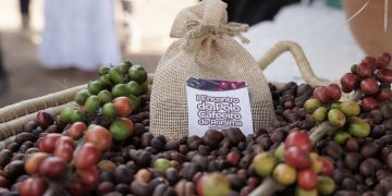 DESENVOLVIMENTO RURAL  Governo lança “Grão Familiar em Campo” para levar serviços ao produtor no interior