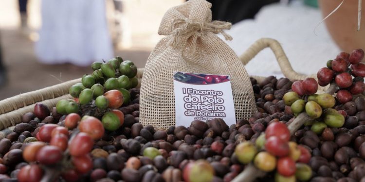 DESENVOLVIMENTO RURAL  Governo lança “Grão Familiar em Campo” para levar serviços ao produtor no interior