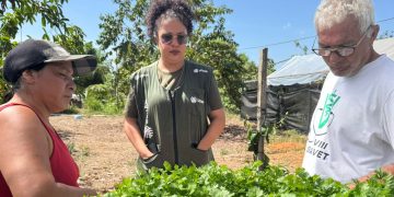 Assistência Técnica e Gerencial do Senar Roraima transforma gestão de propriedade rural no município do Cantá