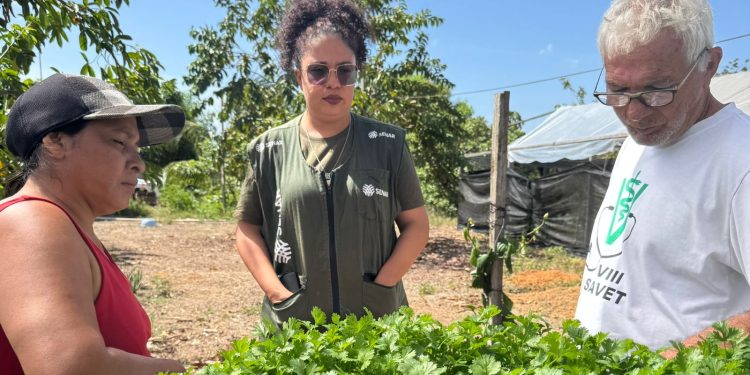 Assistência Técnica e Gerencial do Senar Roraima transforma gestão de propriedade rural no município do Cantá