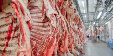 União Europeia veta importação de carne do Brasil; entenda