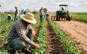 CNA/CEPEA APONTAM RECORDE NA POPULAÇÃO OCUPADA NO AGRO EM 2025
