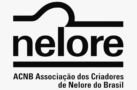 ACNB convoca associados para Assembleia Geral, em São Paulo