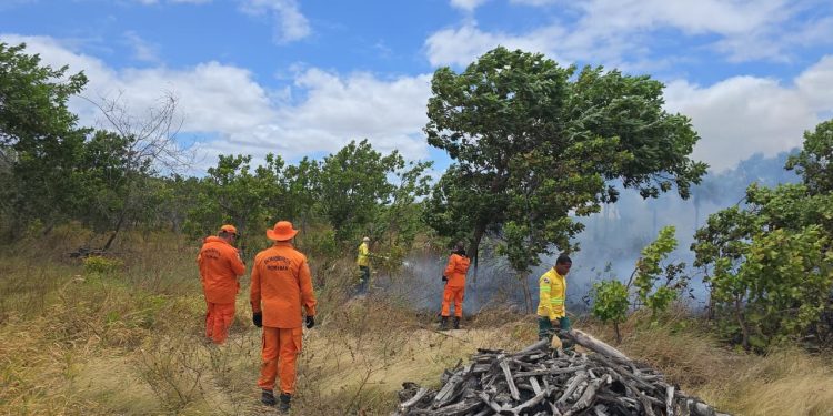 PERÍODO DE ESTIAGEM  Governo de Roraima retoma cursos para qualificar brigadistas como bombeiros civis