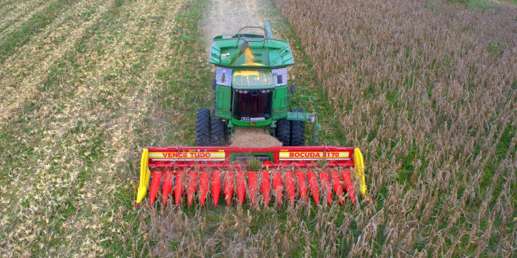 AGRICULTURA FAMILIAR E INDÍGENA Governo de Roraima deve beneficiar quase 3 mil produtores com Projeto de Grãos em 2026