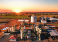 Better Beef produz carne premium em modelo verticalizado de autossuficiência energética e agricultura regenerativa