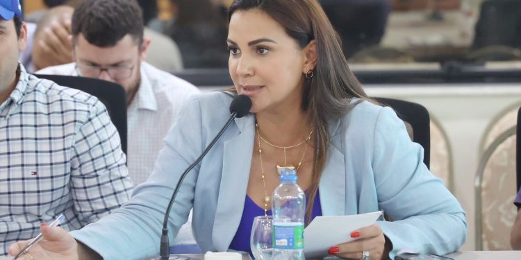 Deputada Joilma Teodora solicita recuperação de ponte na Vicinal 42, em Rorainópolis